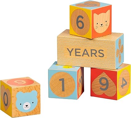 Wooden Milestone Baby Blocks