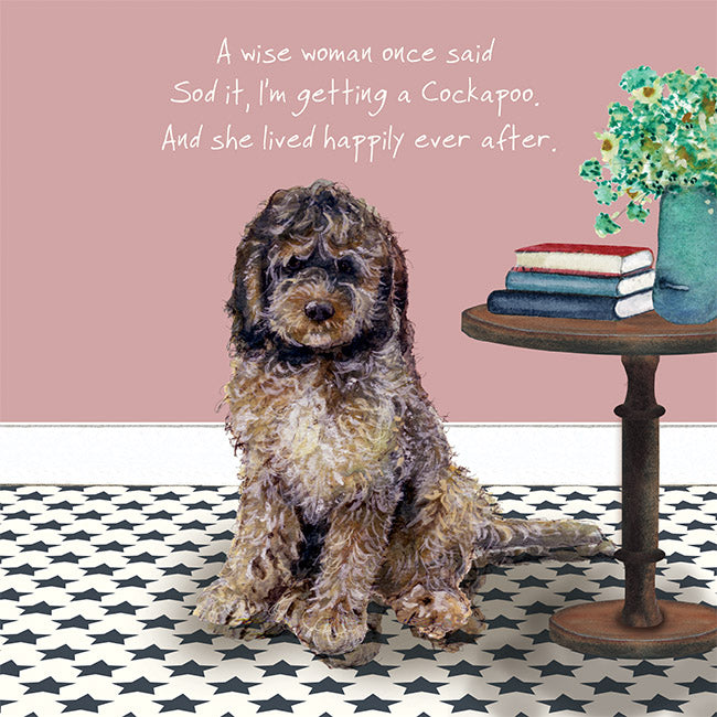 LDL- Barnaby the cockapoo