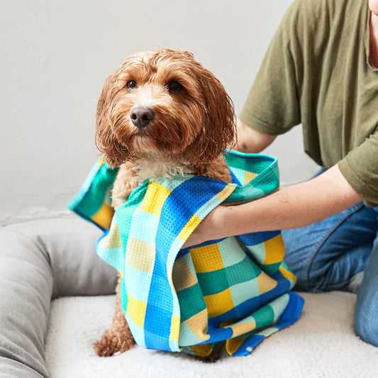 Medium Quick Dry Dog Towel