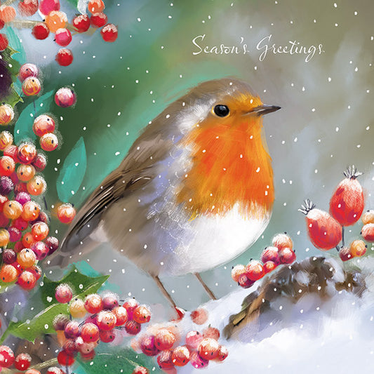 Robin in the Snow Christmas Cards