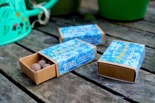 Forget-me-not mini seedbox