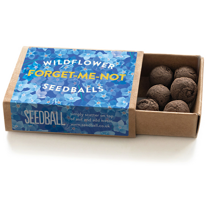 Forget-me-not mini seedbox