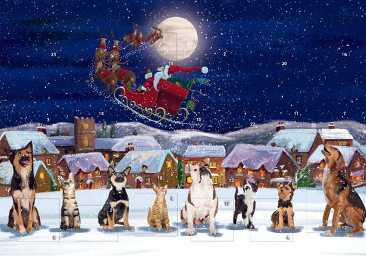 Christmas Sky Advent Calendar